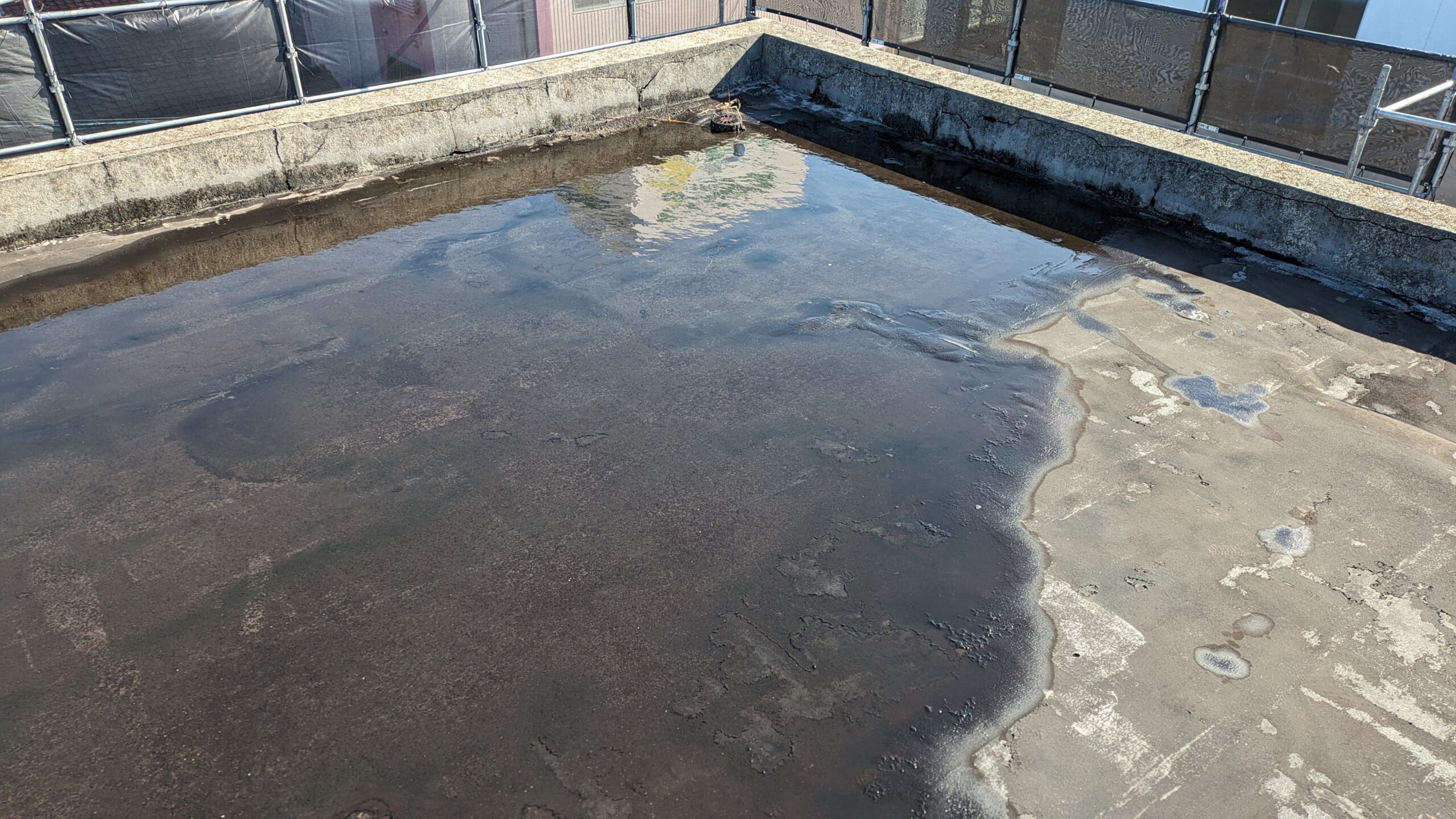 陸屋根雨水溜まり②