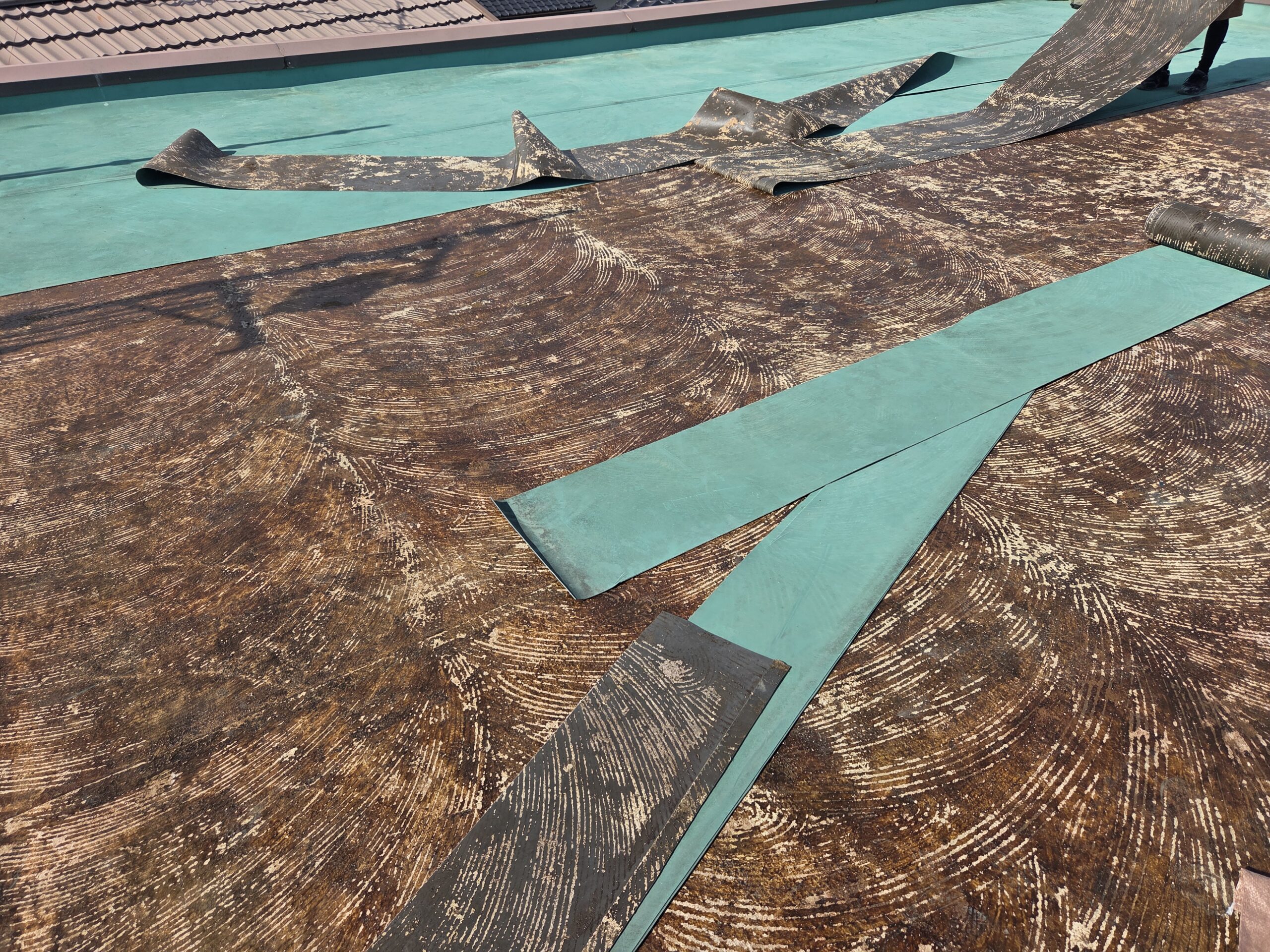 既存塩ビシート撤去