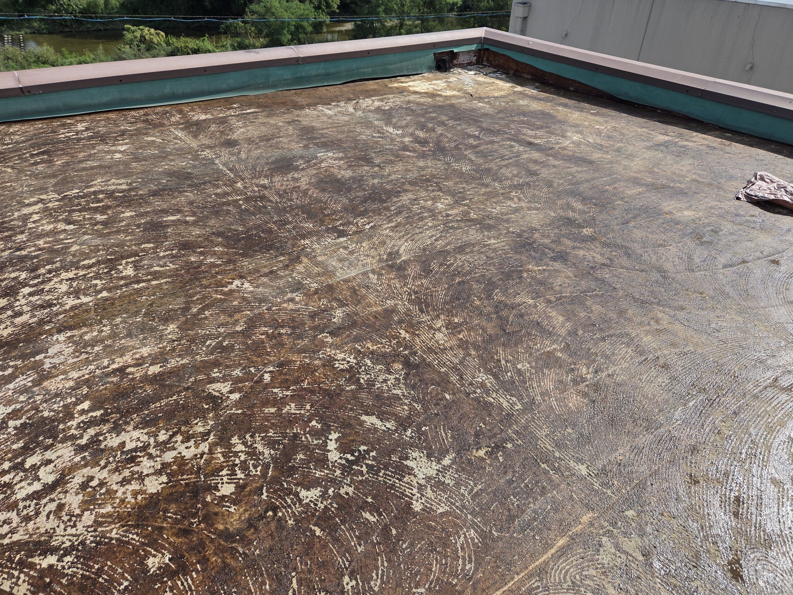 既存塩ビシート撤去完了